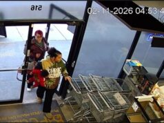 Щенок украден из Petland в Фентоне